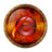 internet explorer Icon